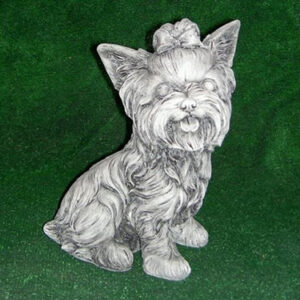 Yorkie