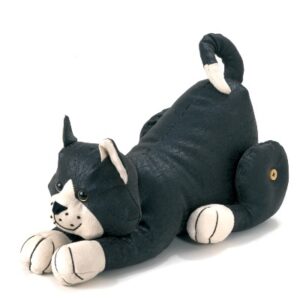 Katt på huk