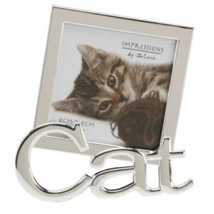 Cat -fotoram