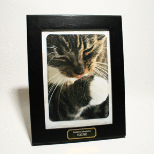 Muisto valokuvakehys